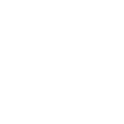 BetX