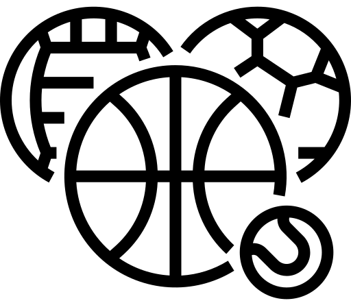 Multi sports
