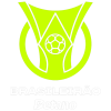 Série A Betano 2025 Série A Betano 2025