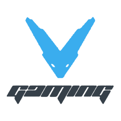 V-Gaming V-Gaming