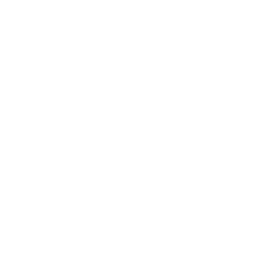 SynotTip